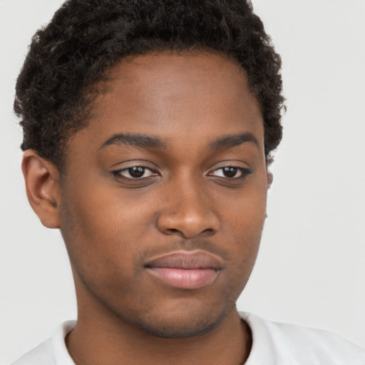 Neutral black young-adult male with short  brown hair and brown eyes