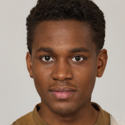 Neutral black young-adult male with short  brown hair and brown eyes