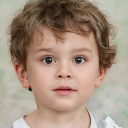 Neutral white child male with short  brown hair and brown eyes