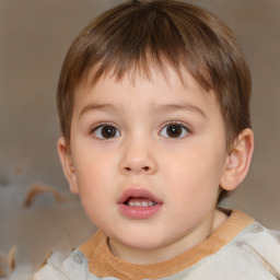 Neutral white child male with short  brown hair and brown eyes