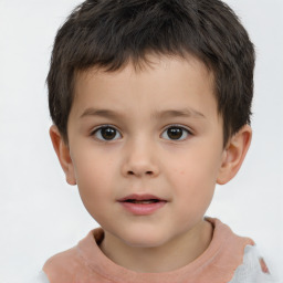 Neutral white child male with short  brown hair and brown eyes