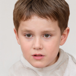 Neutral white child male with short  brown hair and brown eyes