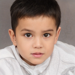 Neutral white child male with short  brown hair and brown eyes