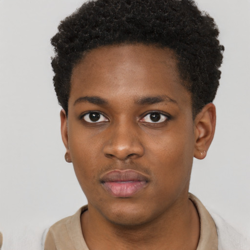 Neutral black young-adult male with short  brown hair and brown eyes