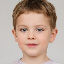 Neutral white child male with short  brown hair and brown eyes