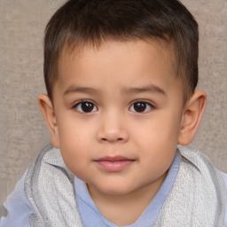 Joyful white child male with short  brown hair and brown eyes