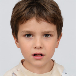 Neutral white child male with short  brown hair and brown eyes