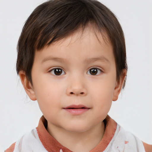 Neutral white child male with short  brown hair and brown eyes