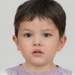 Neutral white child male with short  brown hair and brown eyes