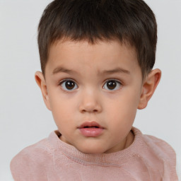 Neutral white child male with short  brown hair and brown eyes