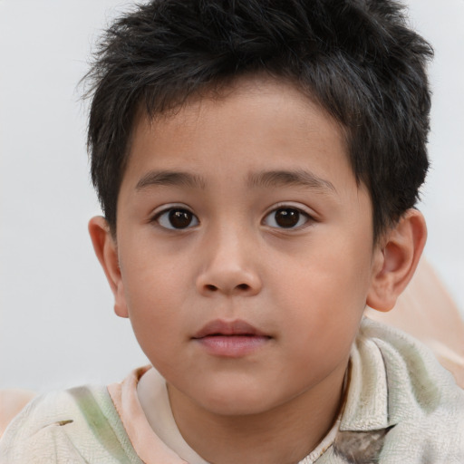 Neutral white child male with short  brown hair and brown eyes
