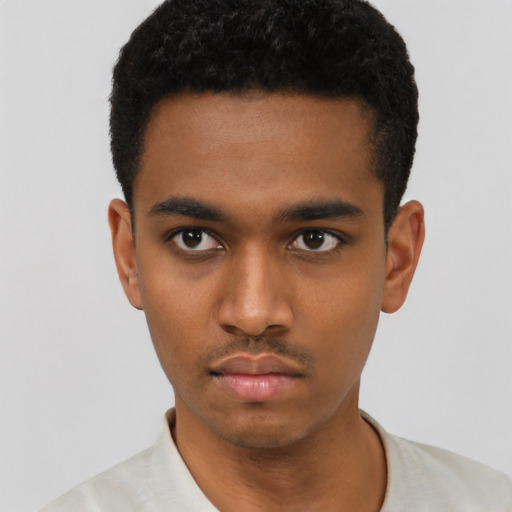 Neutral black young-adult male with short  black hair and brown eyes
