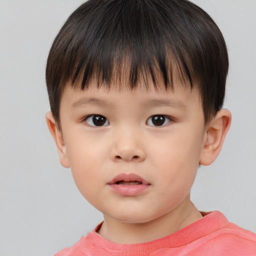 Neutral white child male with short  brown hair and brown eyes