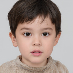 Neutral white child male with short  brown hair and brown eyes