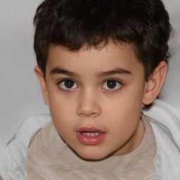 Neutral white child male with short  brown hair and brown eyes