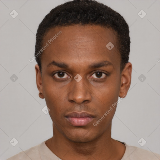 Neutral black young-adult male with short  black hair and brown eyes