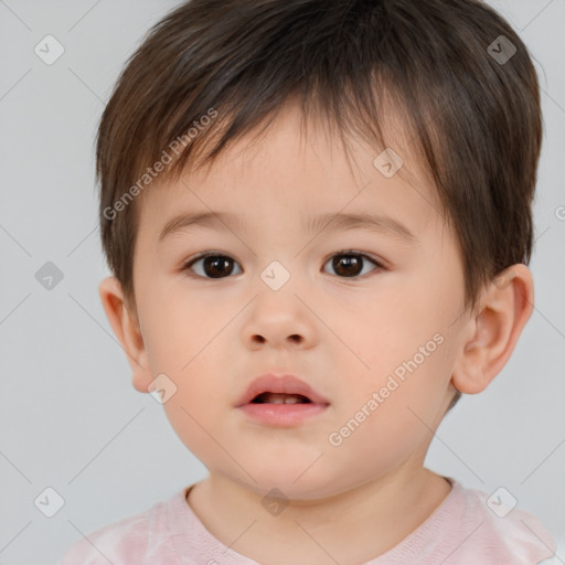 Neutral white child male with short  brown hair and brown eyes