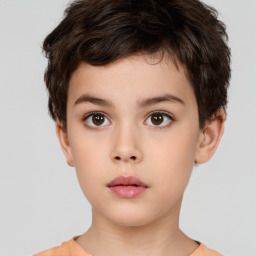 Neutral white child male with short  brown hair and brown eyes