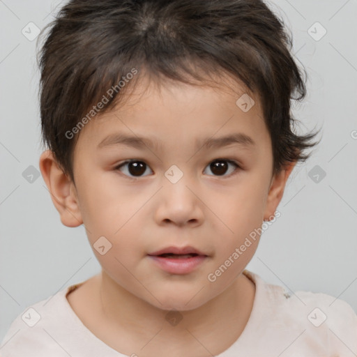 Neutral white child male with short  brown hair and brown eyes