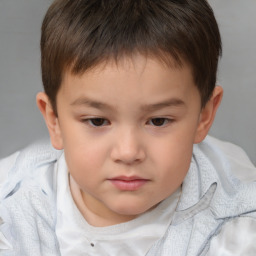 Neutral white child male with short  brown hair and brown eyes