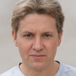 Joyful white adult male with short  brown hair and grey eyes