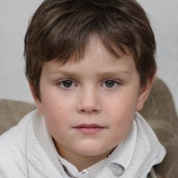 Neutral white child male with short  brown hair and brown eyes