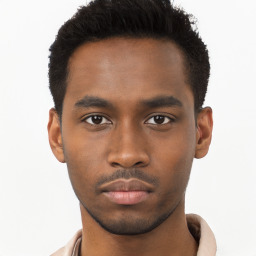 Neutral black young-adult male with short  brown hair and brown eyes