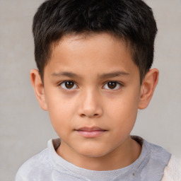 Neutral white child male with short  brown hair and brown eyes