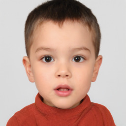 Neutral white child male with short  brown hair and brown eyes