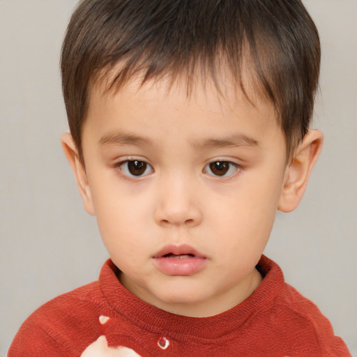 Neutral white child male with short  brown hair and brown eyes