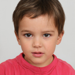 Neutral white child male with short  brown hair and brown eyes