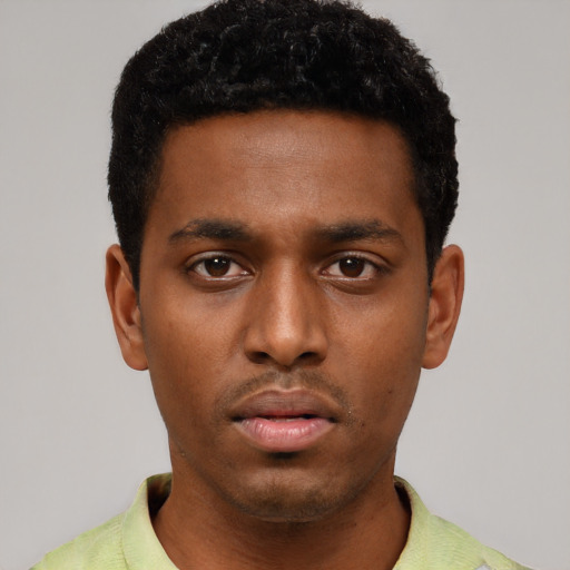 Neutral black young-adult male with short  black hair and brown eyes