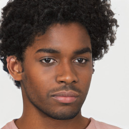 Neutral black young-adult male with short  brown hair and brown eyes