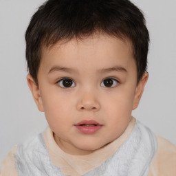 Neutral white child male with short  brown hair and brown eyes