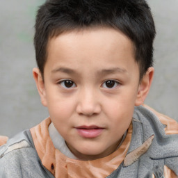 Neutral white child male with short  brown hair and brown eyes