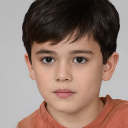 Neutral white child male with short  brown hair and brown eyes