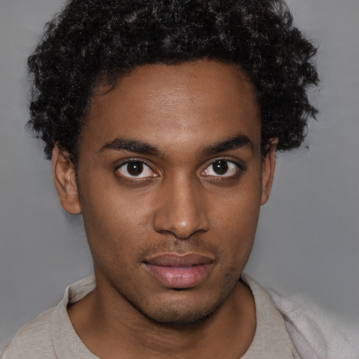 Neutral black young-adult male with short  brown hair and brown eyes