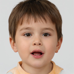 Neutral white child male with short  brown hair and brown eyes