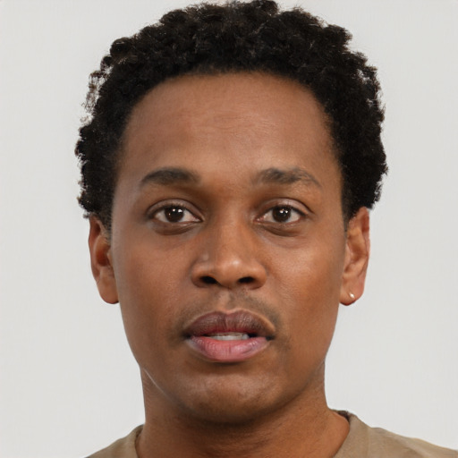 Neutral black young-adult male with short  black hair and brown eyes
