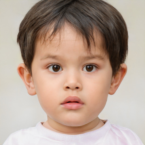 Neutral white child male with short  brown hair and brown eyes