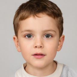 Neutral white child male with short  brown hair and brown eyes