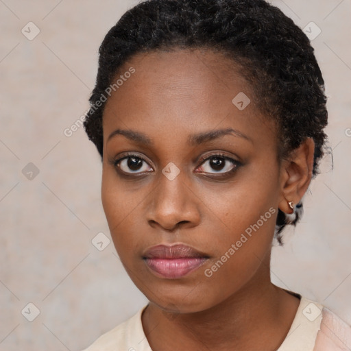 Neutral black young-adult female with short  brown hair and brown eyes