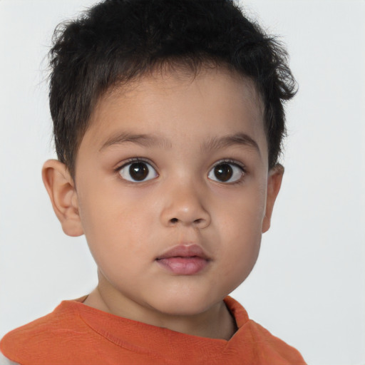 Neutral white child male with short  brown hair and brown eyes