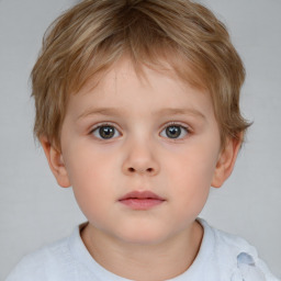 Neutral white child male with short  brown hair and brown eyes