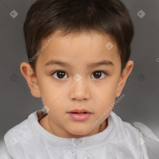 Neutral white child male with short  brown hair and brown eyes