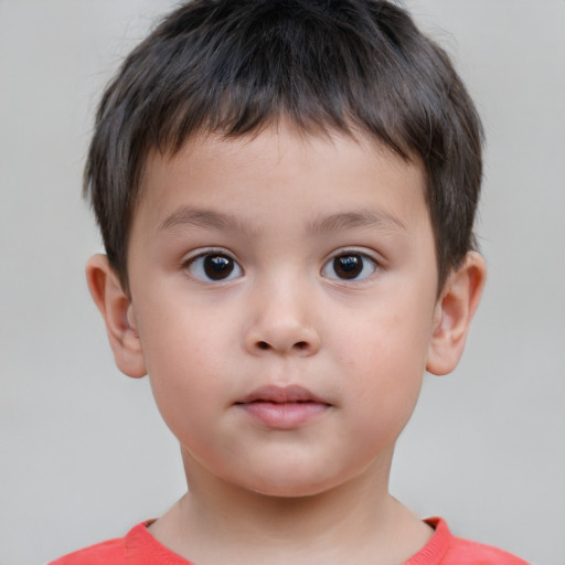 Neutral white child male with short  brown hair and brown eyes