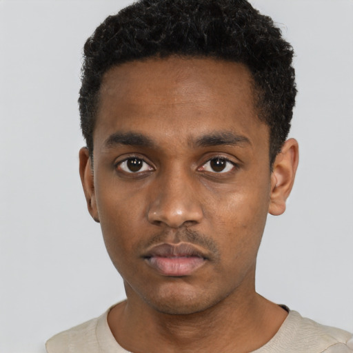 Neutral black young-adult male with short  black hair and brown eyes