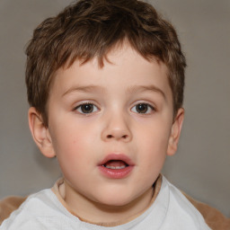 Neutral white child male with short  brown hair and brown eyes