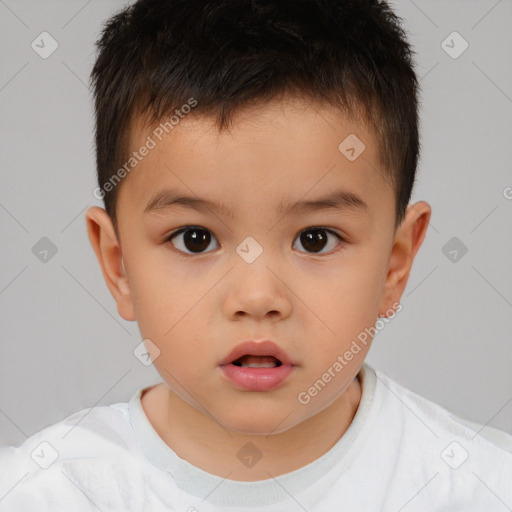 Neutral white child male with short  brown hair and brown eyes