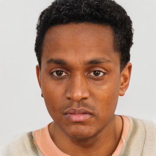 Neutral black young-adult male with short  black hair and brown eyes